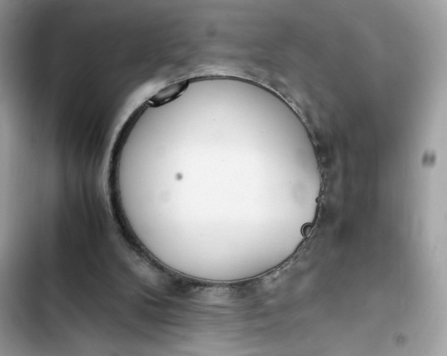 X0000102370104200808151844