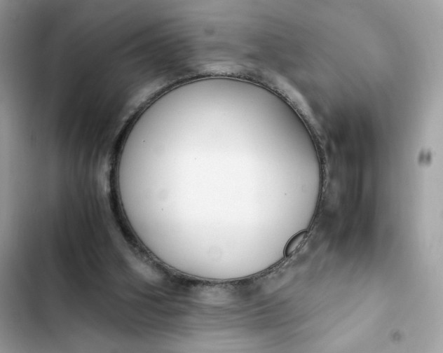 X0000102370106200808151844