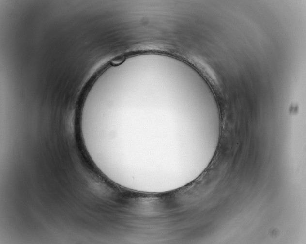 X0000102370108200808151844