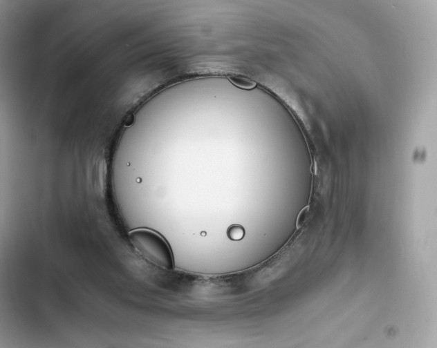 X0000102370109200808151844