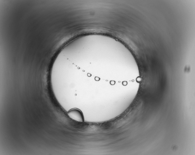 X0000102370111200808151844