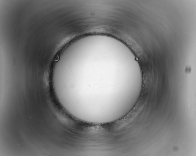 X0000102370112200808151844