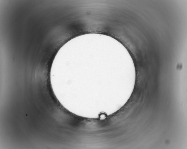 X0000102370113200808151844