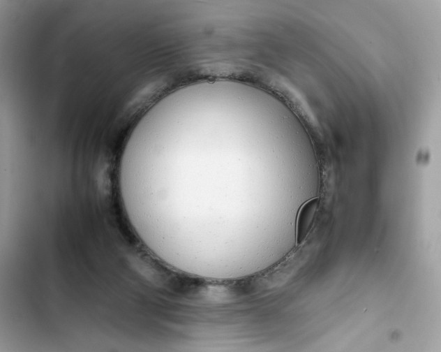 X0000102370114200808151844