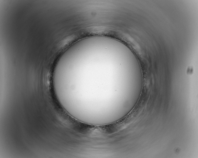 X0000102370115200808151844