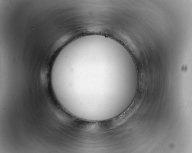 X0000102370116200808151844