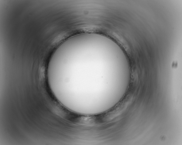 X0000102370117200808151844