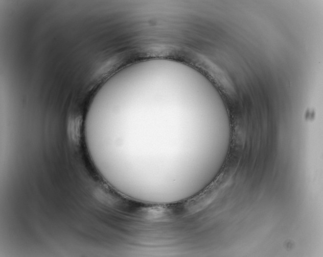 X0000102370118200808151844