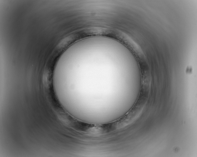 X0000102370119200808151844