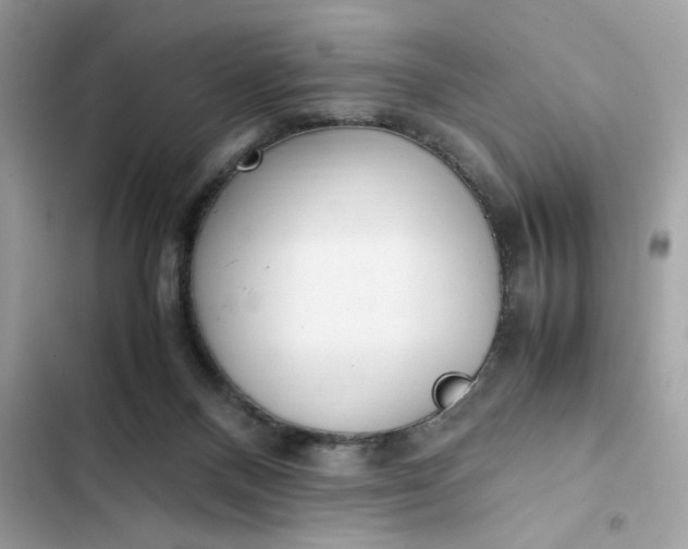 X0000102370120200808151844