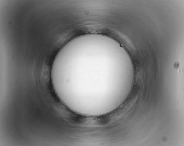 X0000102370121200808151844