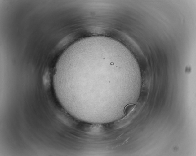 X0000102370124200808151844