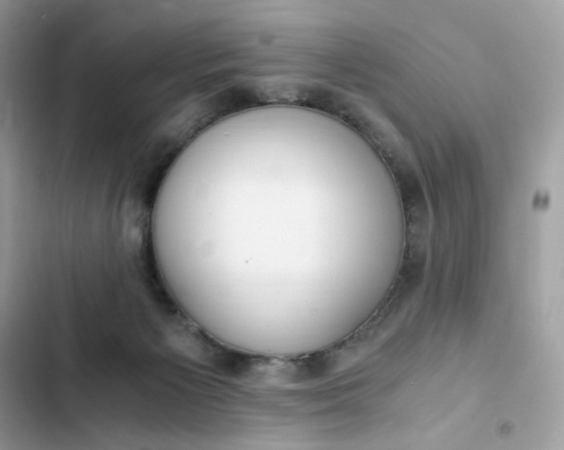 X0000102370125200808151844