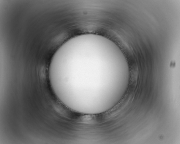 X0000102370126200808151844