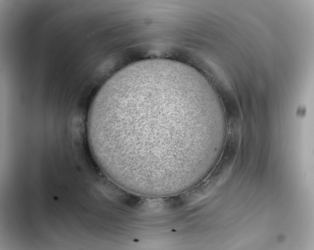 X0000102370127200808151844