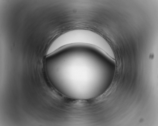 X0000102370128200808151844