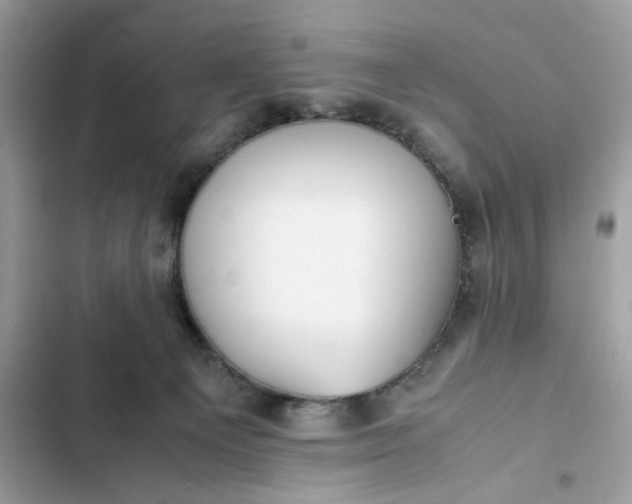 X0000102370129200808151844