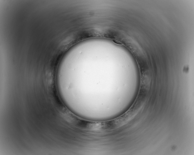 X0000102370131200808151844