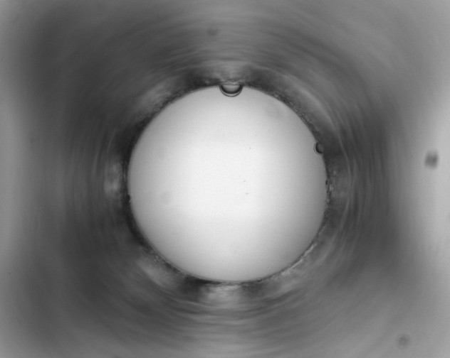 X0000102370132200808151844