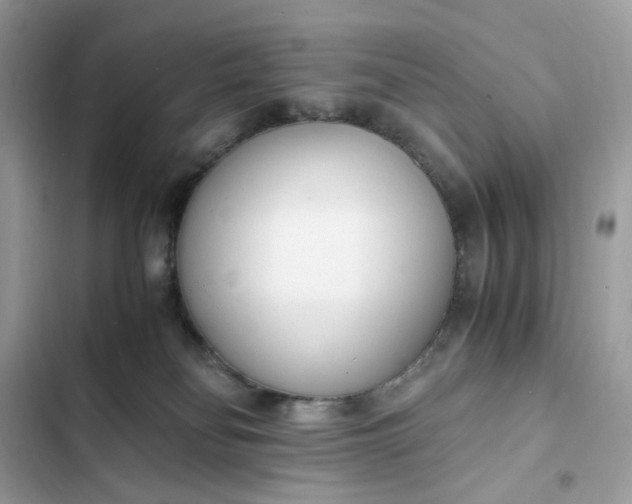 X0000102370134200808151844