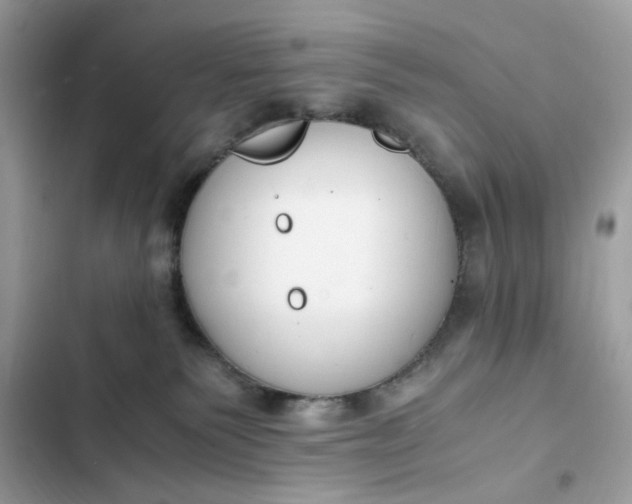 X0000102370135200808151844