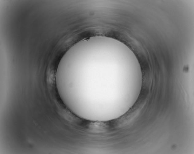 X0000102370137200808151844