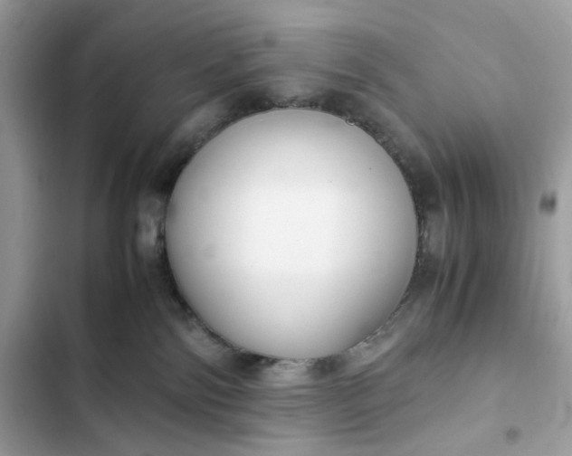 X0000102370138200808151844