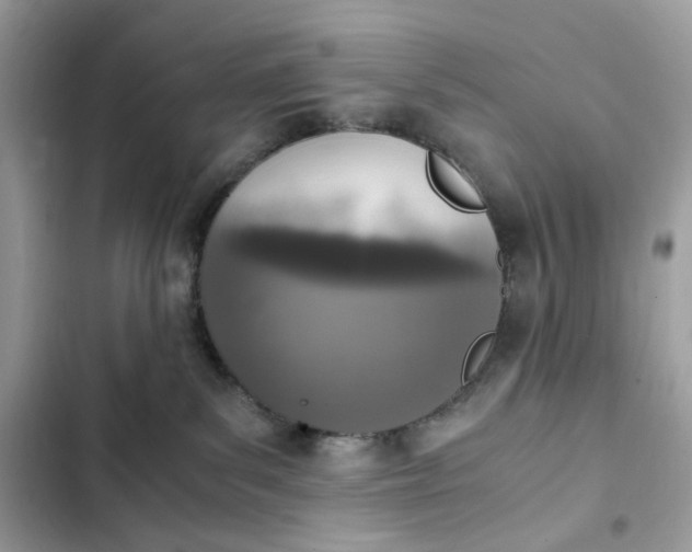 X0000102370139200808151844