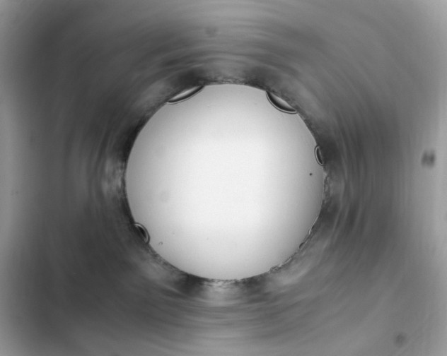 X0000102370141200808151844