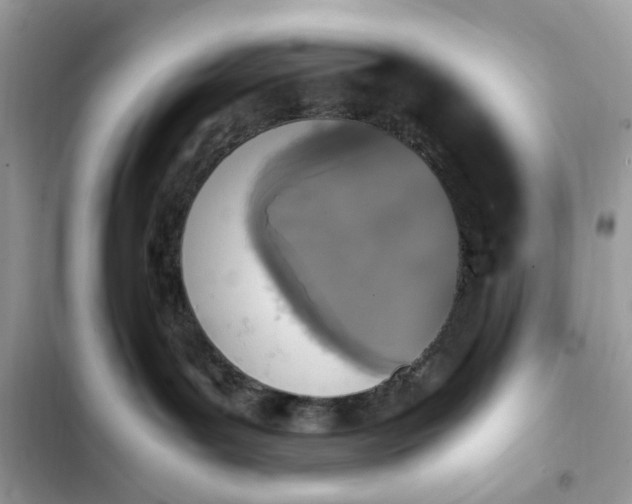 X0000102370143200808151843