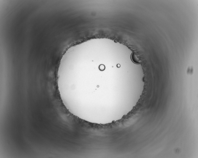 X0000102370144200808151843