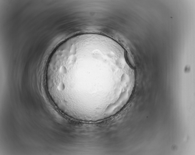 X0000102370145200808151843