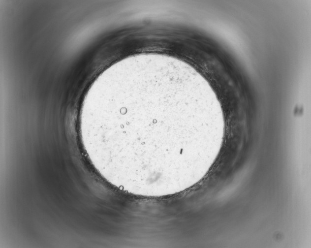 X0000102370146200808151843