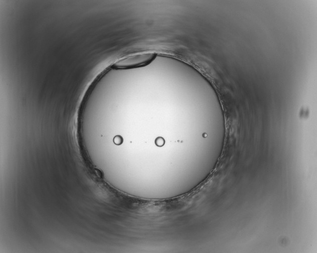 X0000102370148200808151843