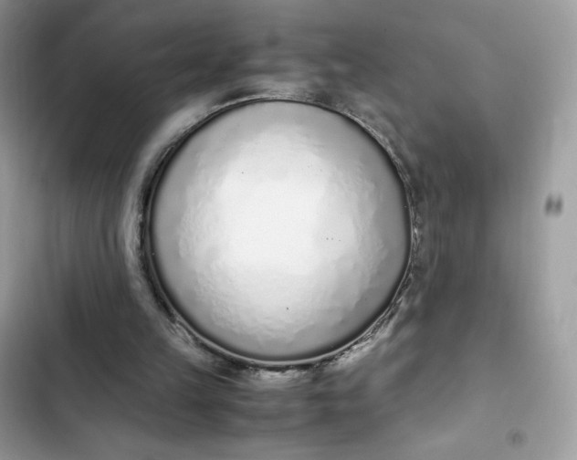 X0000102370149200808151843