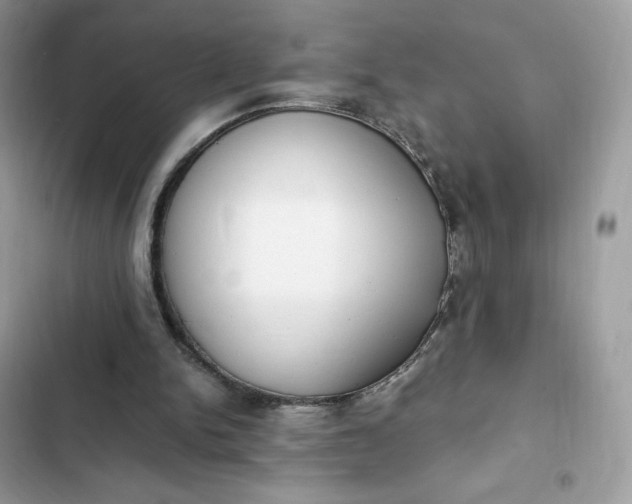 X0000102370150200808151843