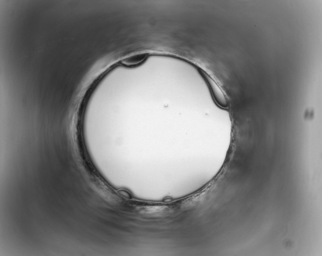 X0000102370151200808151843