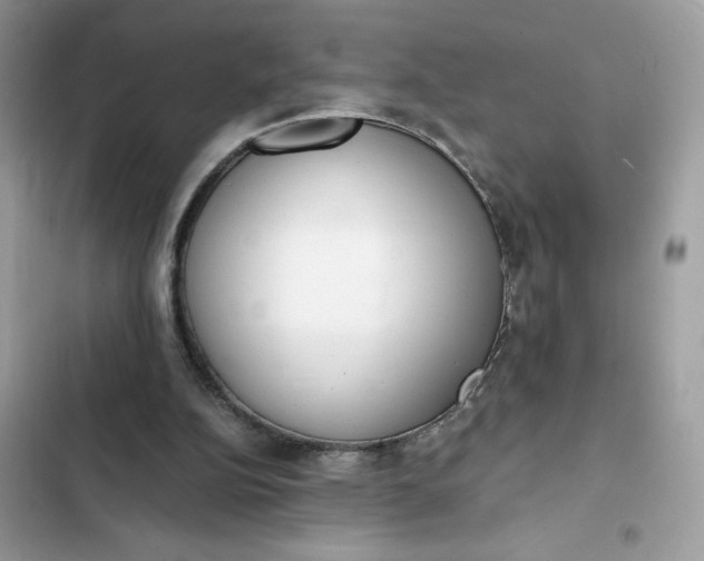 X0000102370152200808151843