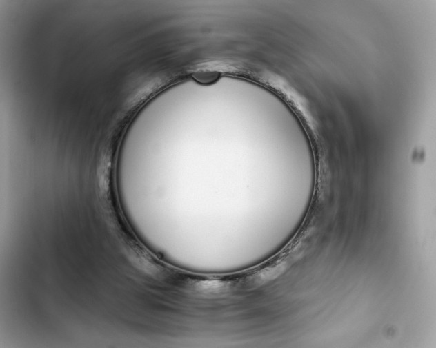 X0000102370153200808151843