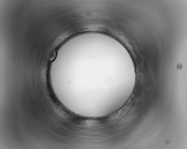 X0000102370154200808151843