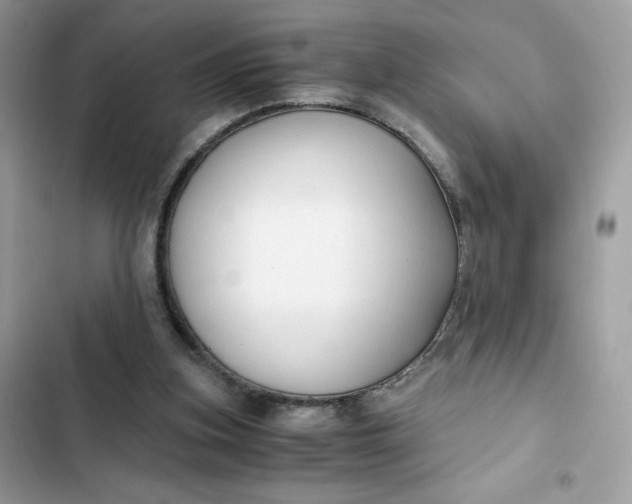 X0000102370155200808151843