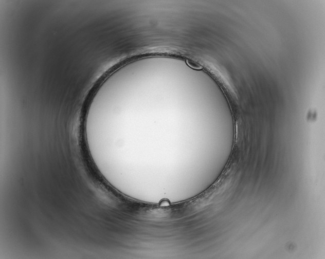 X0000102370156200808151843