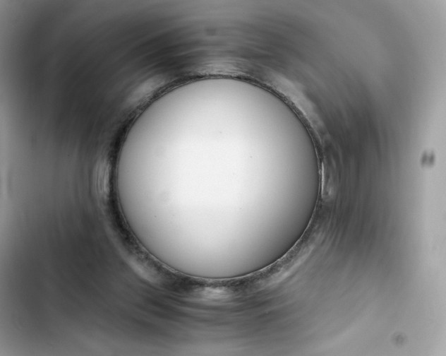 X0000102370157200808151843