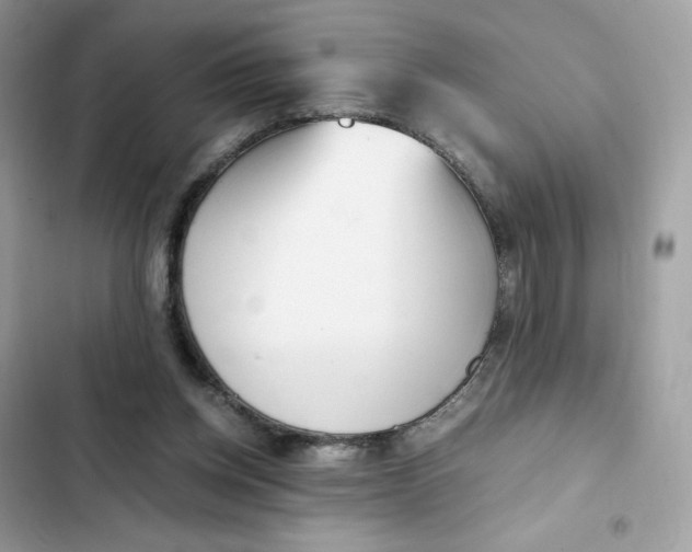 X0000102370158200808151843