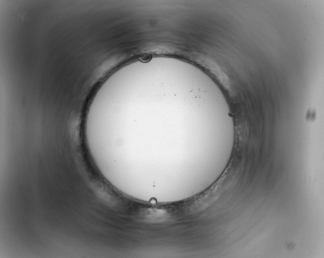 X0000102370159200808151843