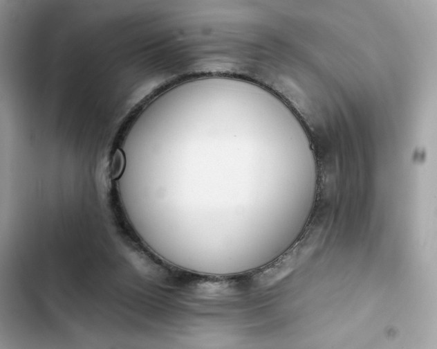 X0000102370160200808151843