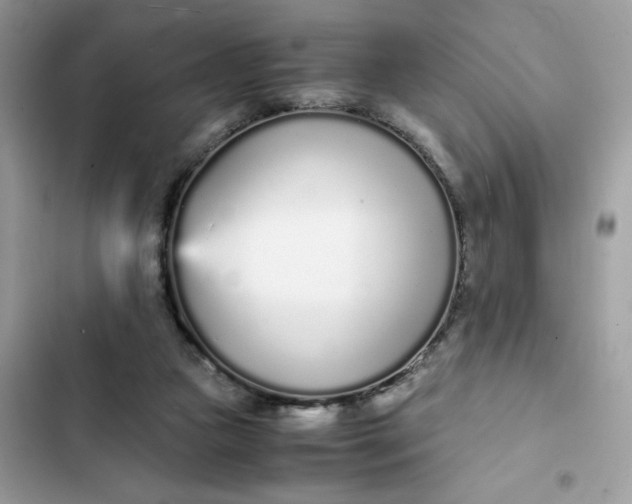 X0000102370161200808151843