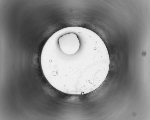 X0000102370162200808151843