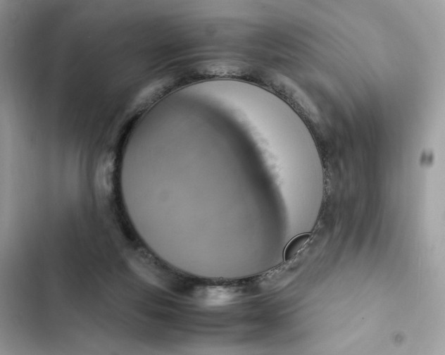 X0000102370163200808151843