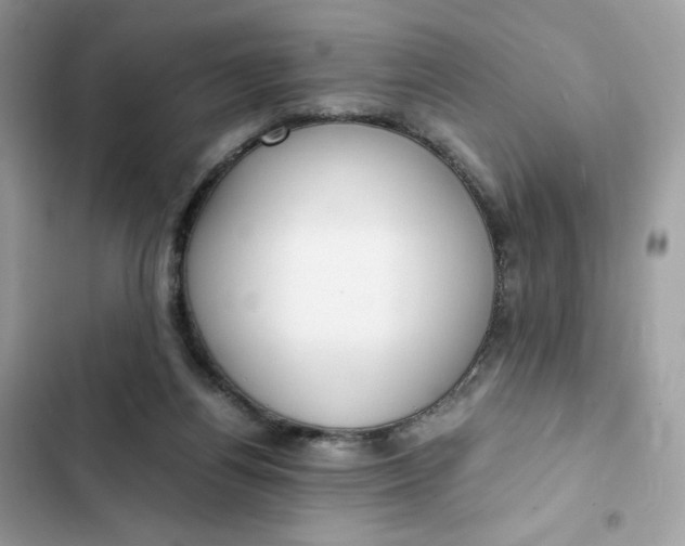 X0000102370164200808151843